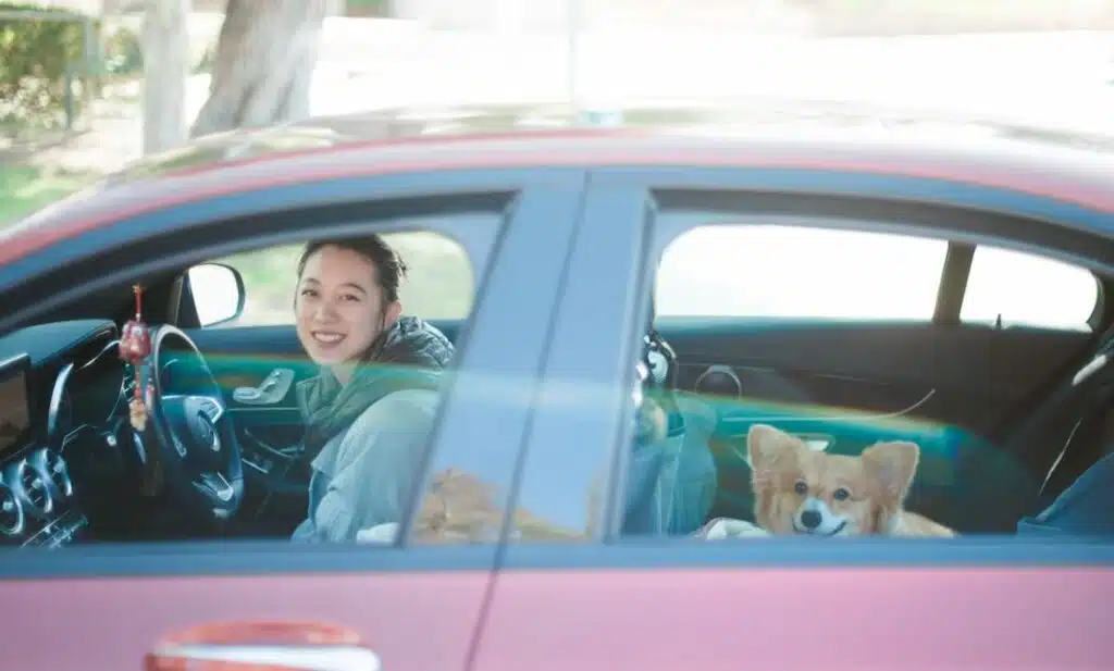 This Asian woman in a red car with her corgi followed the tips to renew your car insurance and save