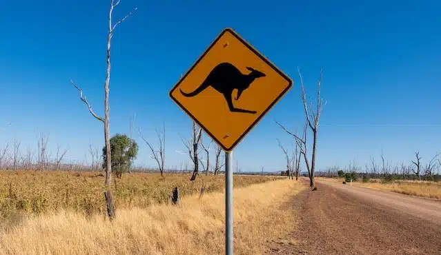 Road sign of a kangaroo taken on a roadtrip to support Australian bushfire affected areas