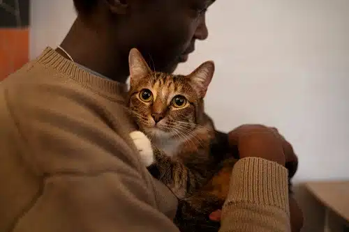 Man with his adorable pet kitty