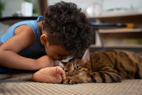 Medium shot of a boy looking at his kitty
