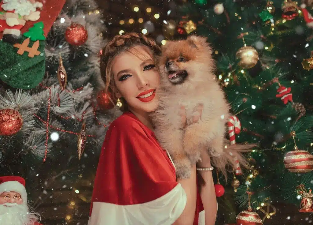 A women plays with her pup on Christmas to help them keep calm and feel safe despite the sound of fireworks