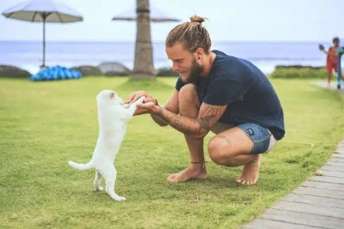 man kneeling with white dog on grass