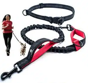 Hands-free dog lead