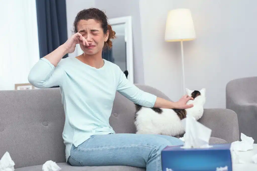 A Vaccine for Those Allergic to Cats - PD Insurance