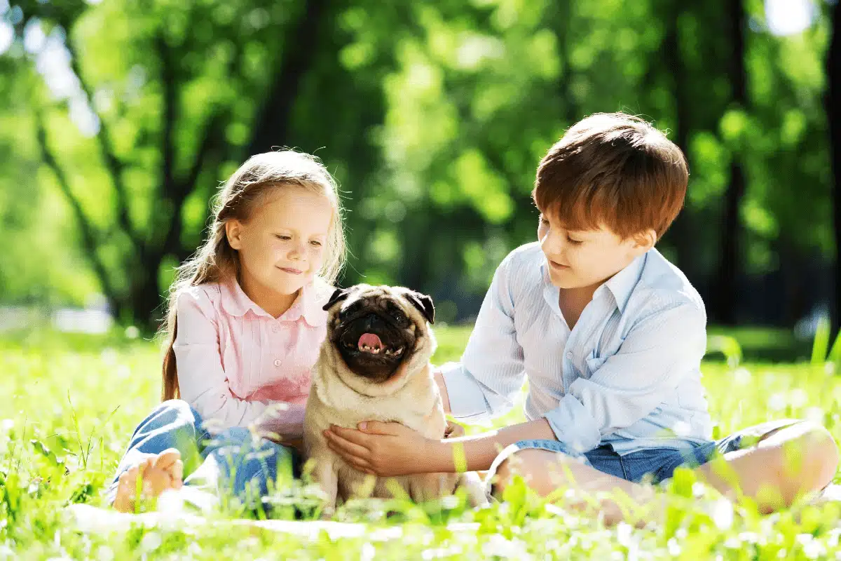 two children sitting on grass with pug between them