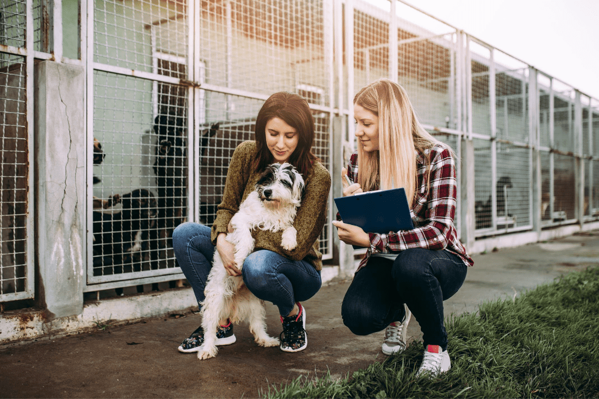 Two women with dog at shelter