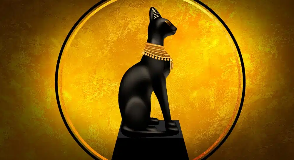 Considering how sacred cats were – and still are – to the Egyptians, why not give your cat an Egyptian name?