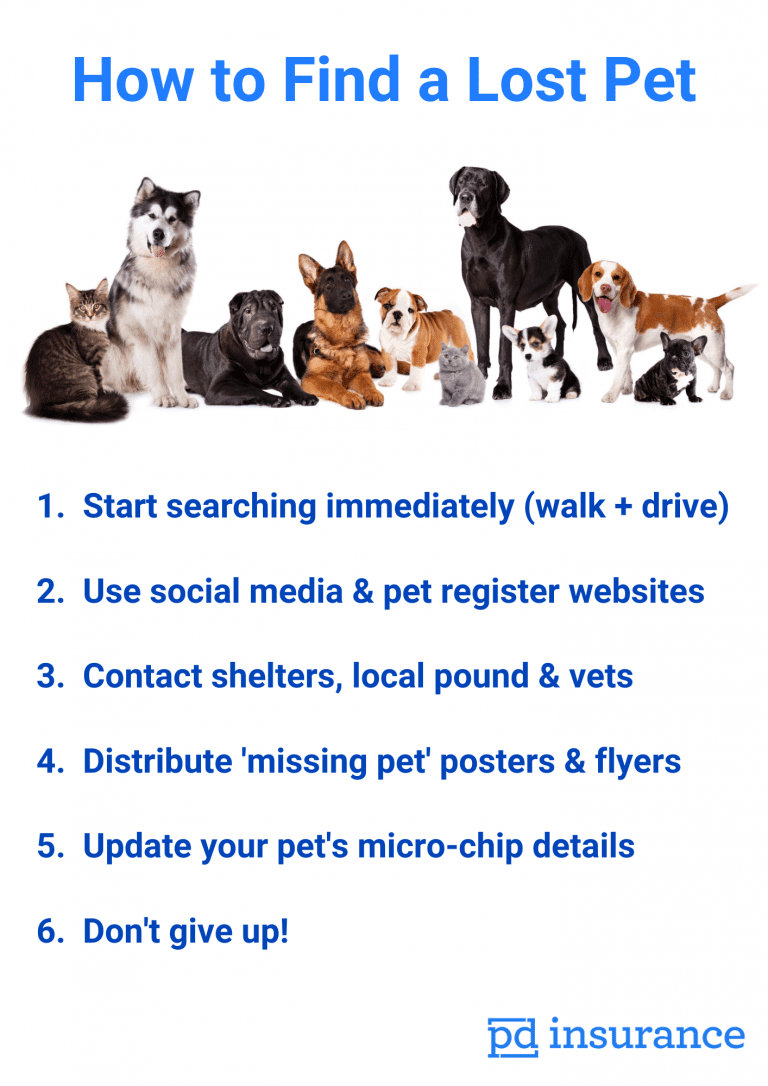 How to Find Lost Pets PD Insurance