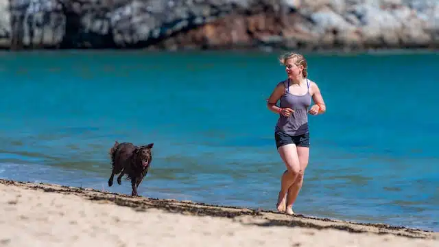 A woman runs on the beach with her dog which has sunscreen on to keep it's skin safe