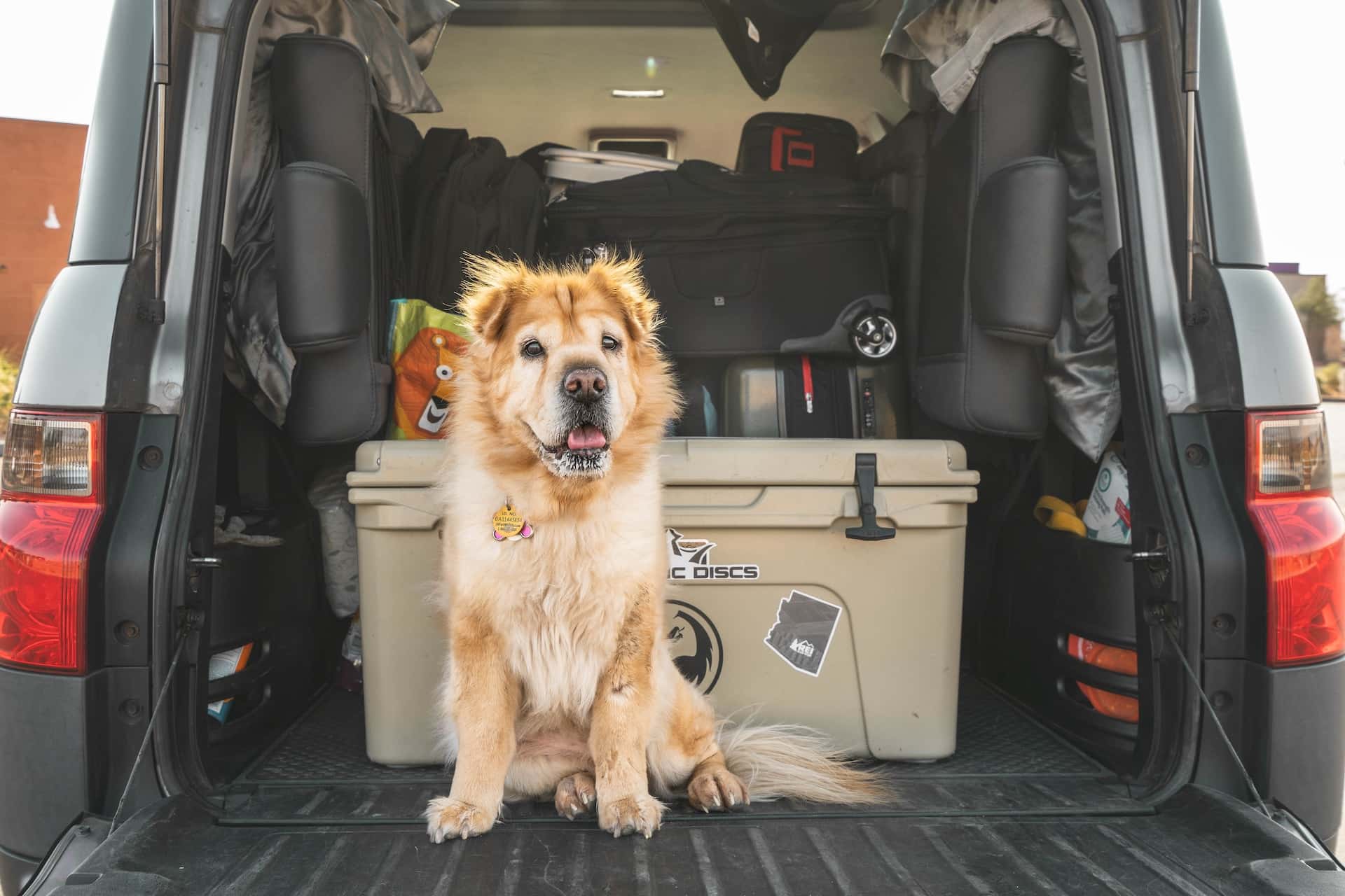 Our car organising hacks are just what you need to get your car clutter-free! Here's top car storage tricks to keep your ride clean and tidy.