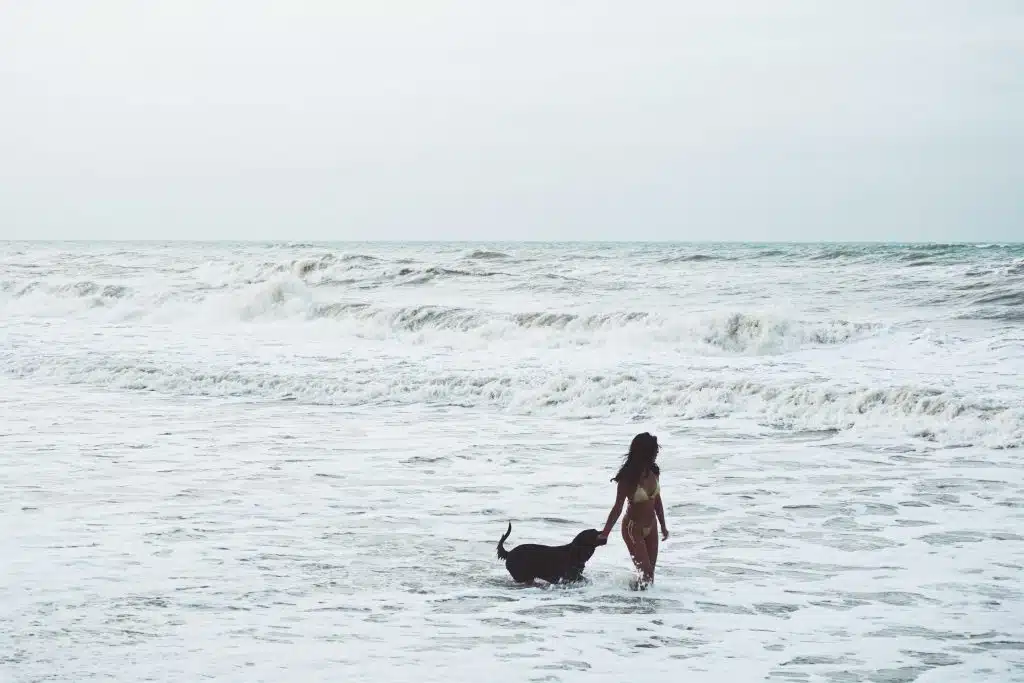 woman in sea in summer with her dog on cloudy day