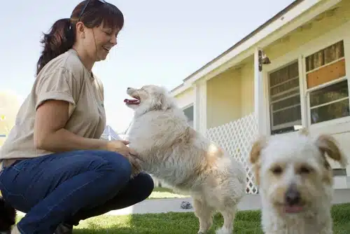 woman with white dog on grass