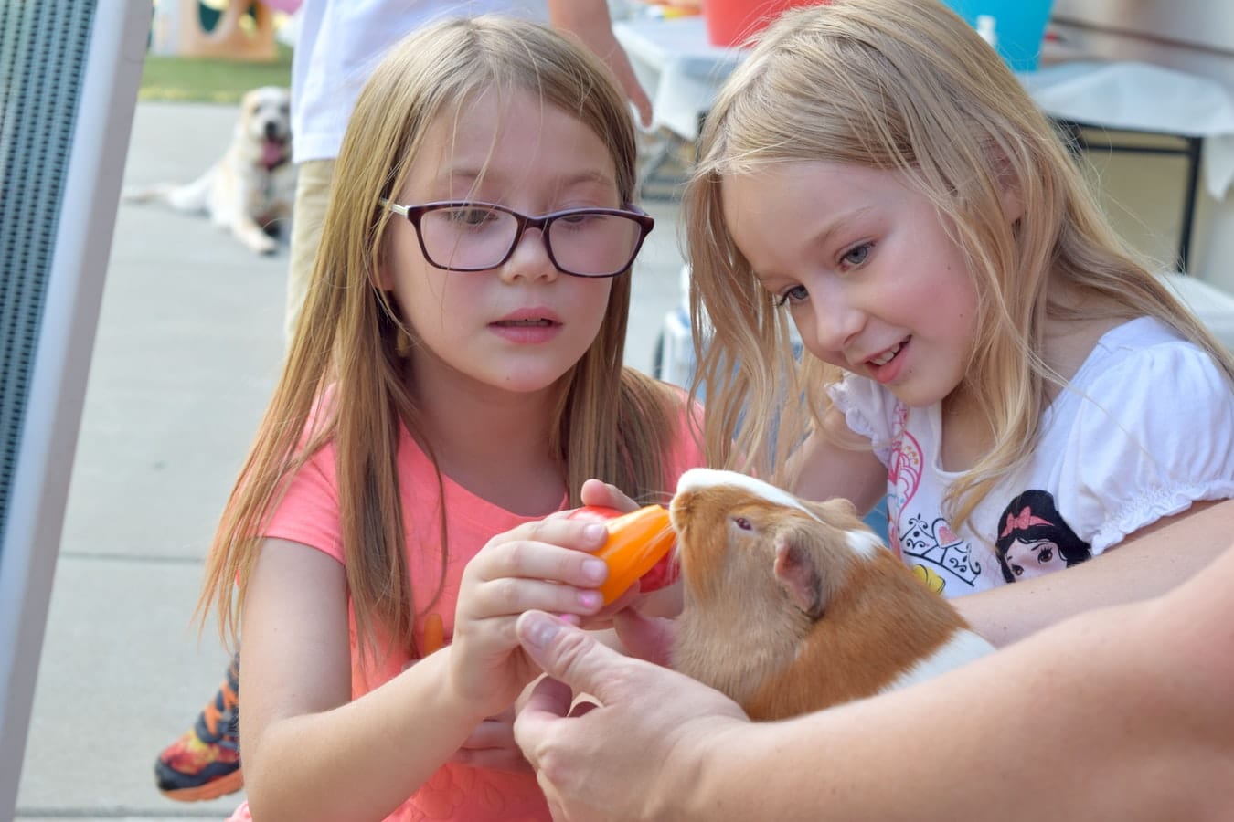 two young girls with a guinea pig