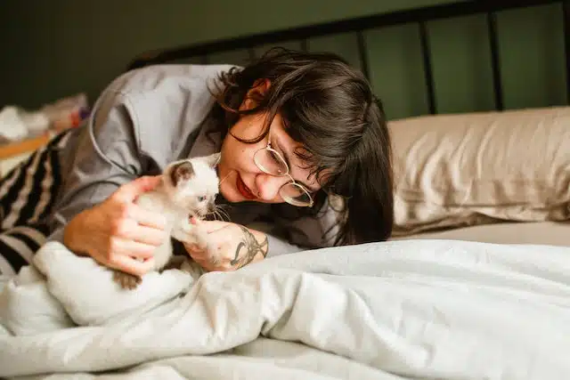 A Siamese kitten sits on the bed with its owner