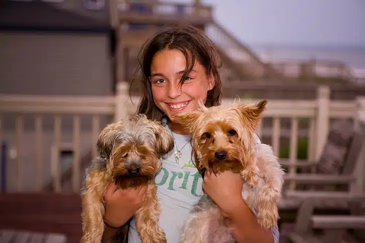 A teenage girl holds up a pair of curly haired dogs she is puppy sitting for her neighbours who are senior pet parents