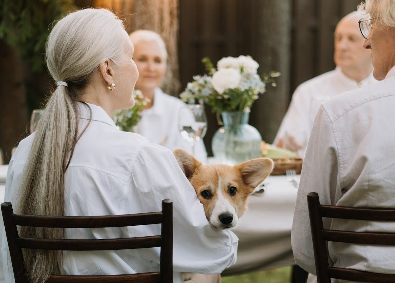 Senior pet parents sitting at a table with a dog on a woman's lap.