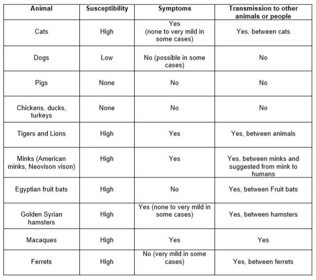 Here’s a table showing the way coronavirus behaves in different animals. This information is from the World Organisation for Animal Health.