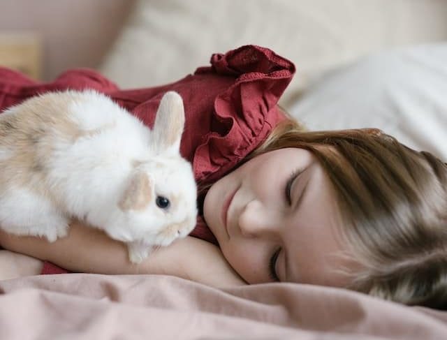 girl celebrates year of the rabbit with pet bunny for Lunar New Year