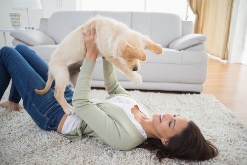 This woman has made sure all cables are run behind the couch so her puppy won't chew them.