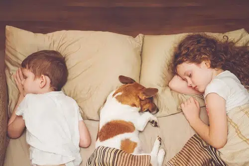 A bond with a pet can help children learn about building trust and friendship.