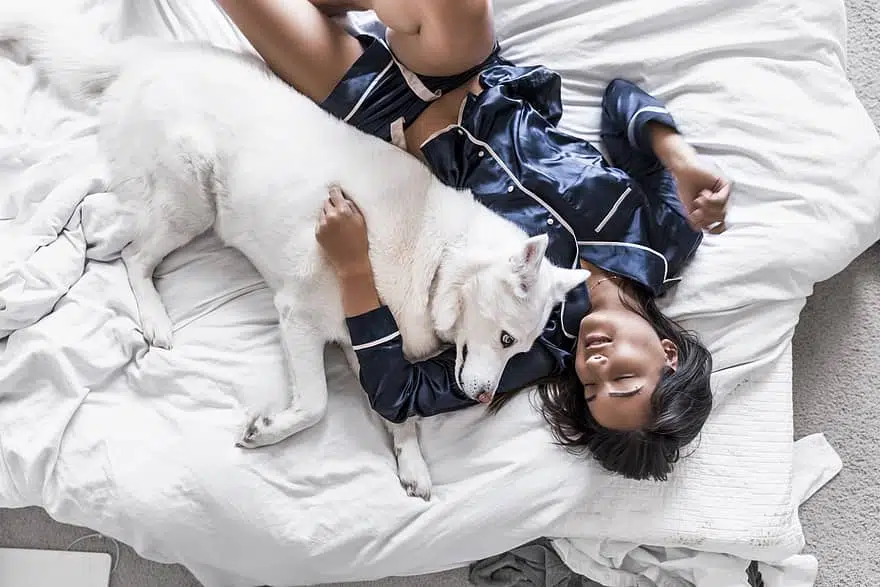 Having your dog sleep in your bed can lower stress levels