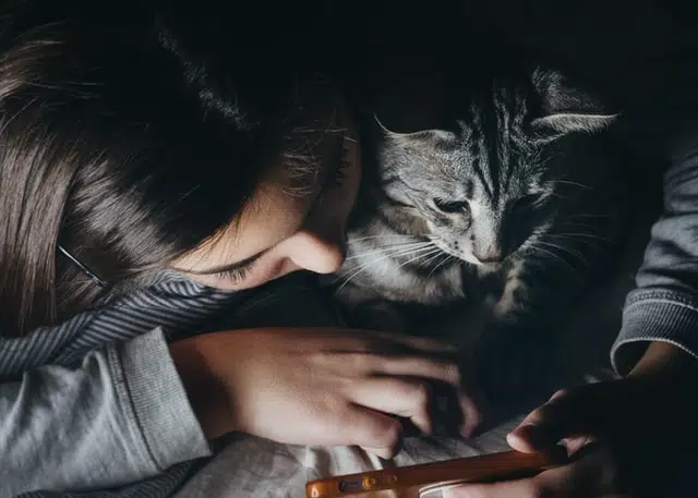 Understand the benefits and drawbacks of desexing cats, like this lady in a grey sweater understands as she hugs her grey cat