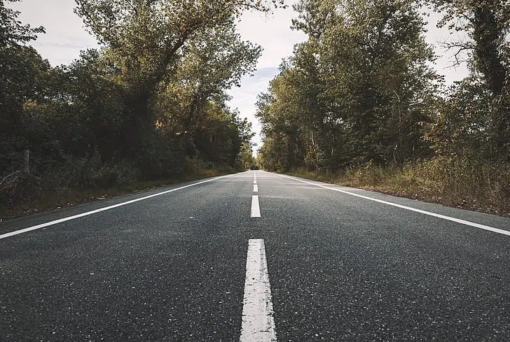 Always drive defensively where there is a higher chance of meeting an animal on the road.