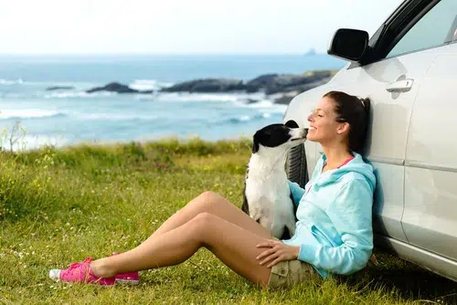 A woman and her dog sitting by her car. She may want to compare car insurance to find the best car insurance deal