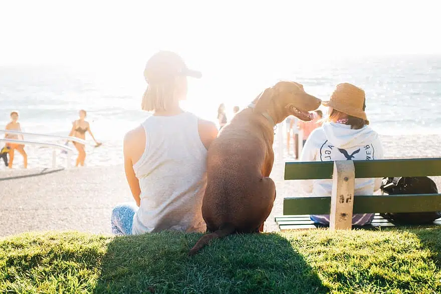 This pet parent is celebrating Love Your Pet Day with her pooch on the beach,