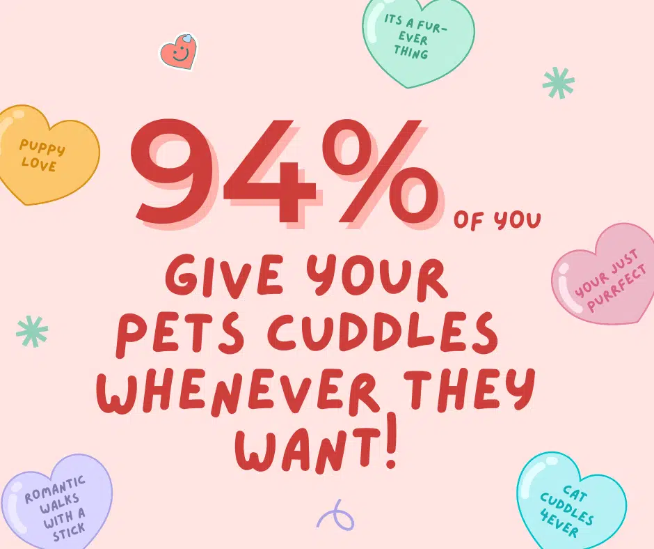 94% of pet parents who PD surveyed give their pets cuddles whenever their pet wants.