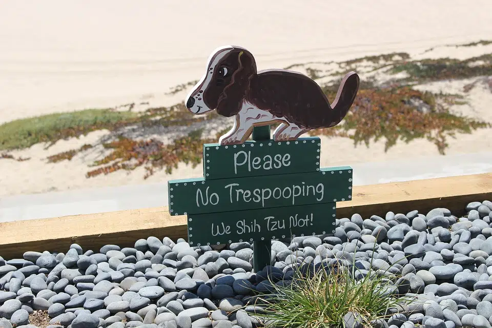 This sign clearly states the rules for puppy poop etiquette.
