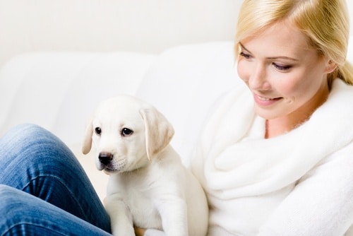 This pet parent has done made sure to puppy proof before puppy came home for the first time.