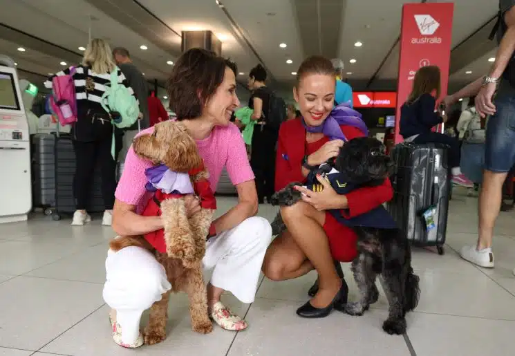 A Virgin air hostess helping a woman with pet travel arrangements prior to flying with pets