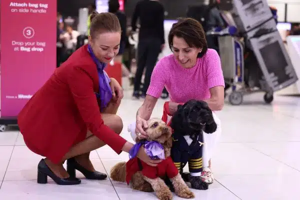 A Virgin airlines attendant helping a pet owner with travel check in