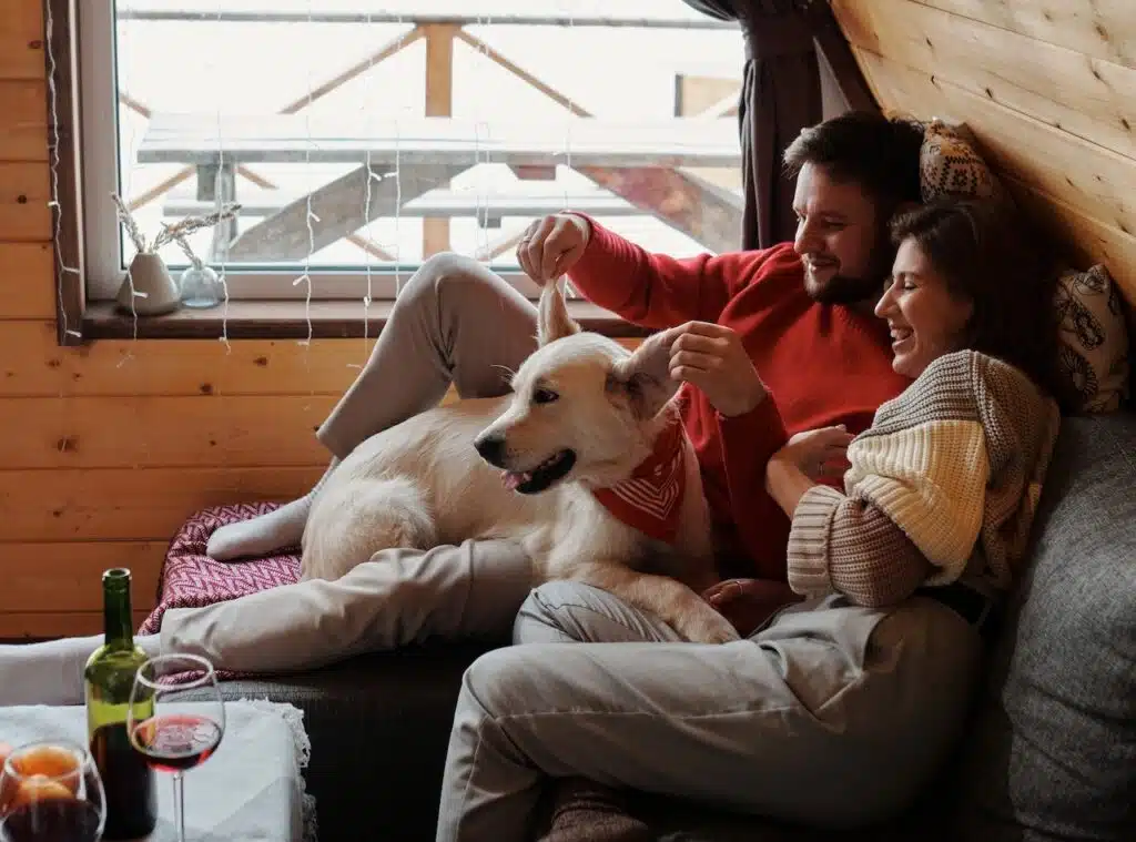 A couple on holiday with their Labrador Retriever relax at their pet friendly holiday cabin in the woods after flying with Virgin pet travel to arrive there