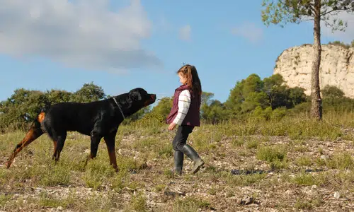 Teaching dogs and kids how to respect each other’s boundaries is crucial to child safety.