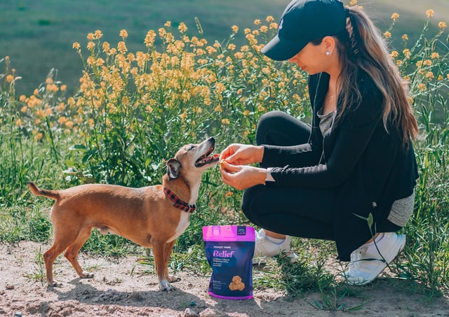 This lady is feeding her dog Eco friendly dog food while out hiking