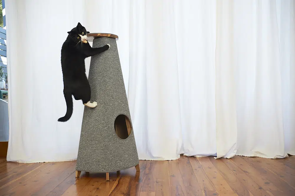 The Cone Scratcher is our #1 favourite cat gift this winter!