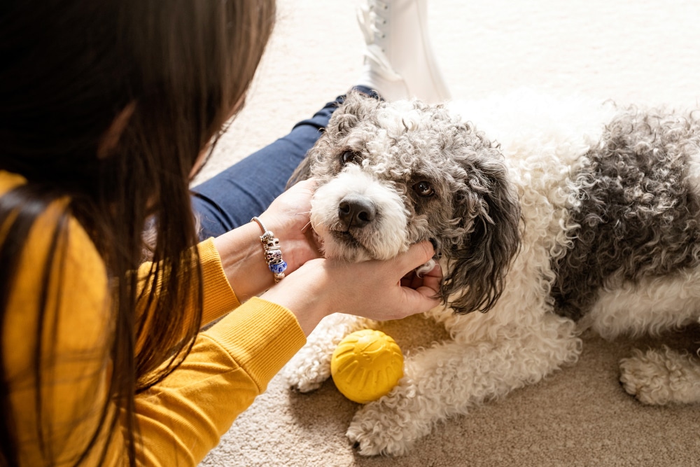 This pup parent has just given her dog the dog DNA test.