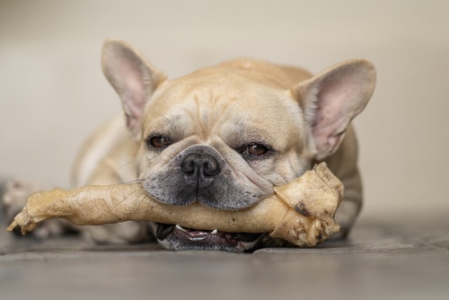 raw hides for dogs raw hides for dogs