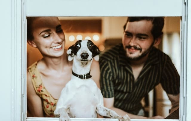 A happy couple smile out of their window alongside their cute pup-they're happy they researched pet insurance for puppies and chose a plan to protect their furbaby.