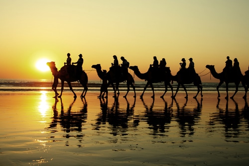 West coast Australia road trip time should include a camel ride!