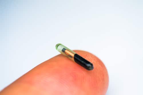 close up of a microchip for a dog