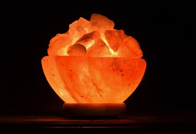 himalayan salt lamps are bad for pets