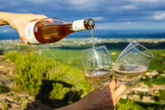 Enjoy the wine regions on your west coast Australia road trip.