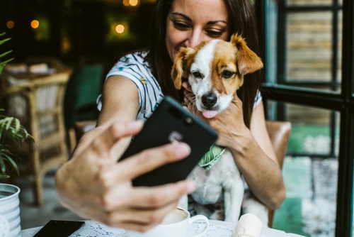 dog instagram selfie with woman and terrier