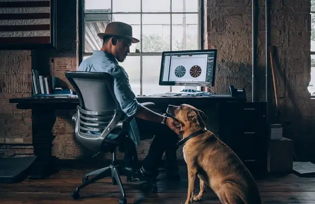 man working at laptop who brings his dog to work for the day