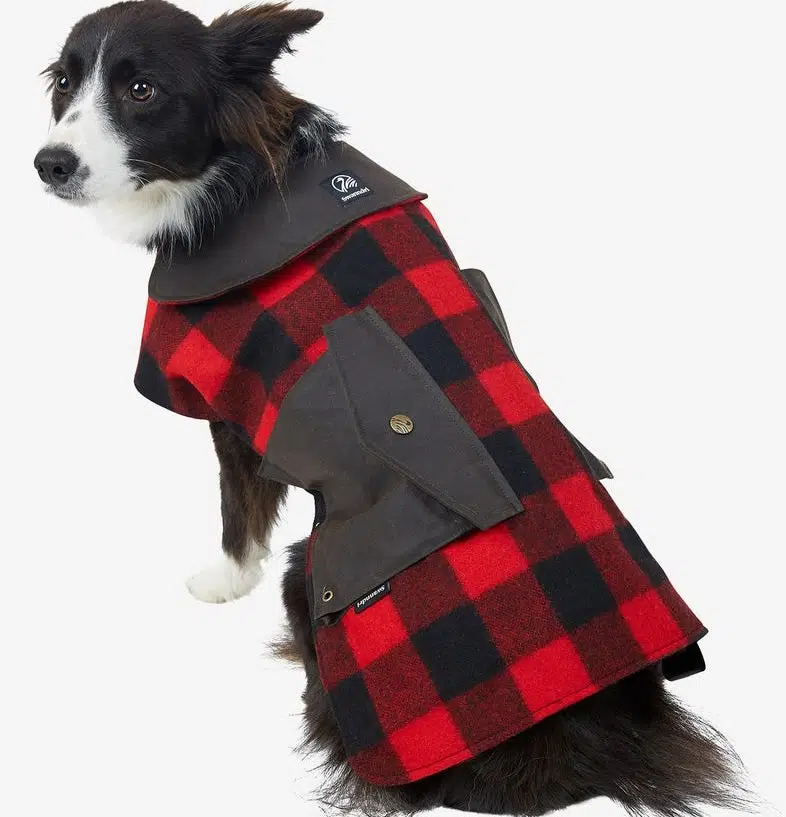 This is a classic wool dog jacket.