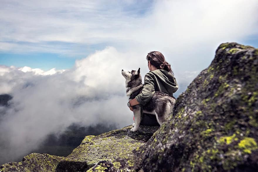 The history of dogs and humans is one of coevolution.
