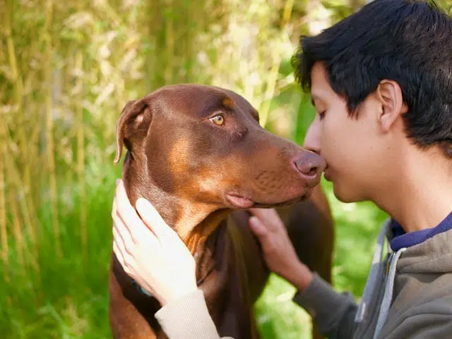 The history of dogs involved co-evolution with humans.